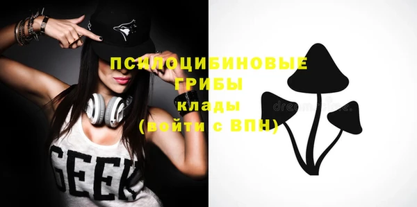 прущие крисы Касимов