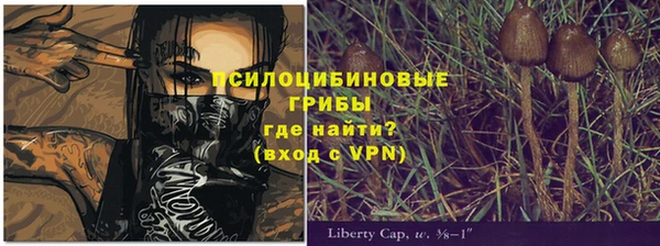 прущие крисы Касимов