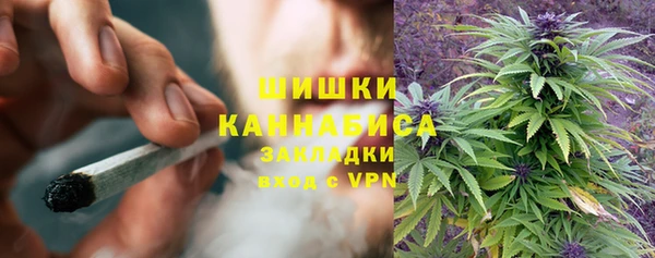 ПСИЛОЦИБИНОВЫЕ ГРИБЫ Карталы