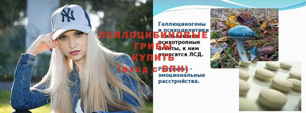 ПСИЛОЦИБИНОВЫЕ ГРИБЫ Карталы