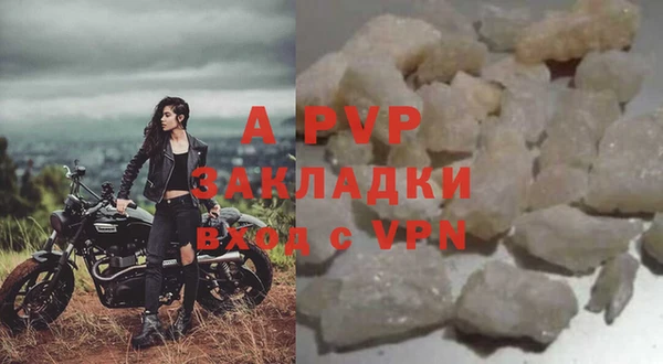 ПСИЛОЦИБИНОВЫЕ ГРИБЫ Карталы